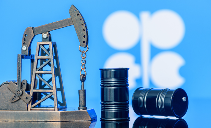 OPEC+ Extended the Ongoing Oil Production Cuts into 2026…